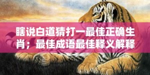 瞎说白道猜打一最佳正确生肖；最佳成语最佳释义解释答