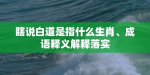 瞎说白道是指什么生肖、成语释义解释落实