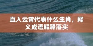 直入云霄代表什么生肖，释义成语解释落实