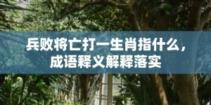 兵败将亡打一生肖指什么，成语释义解释落实