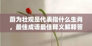 蔚为壮观是代表指什么生肖，最佳成语最佳释义解释答