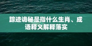 踪迹诡秘是指什么生肖、成语释义解释落实