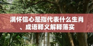 满怀信心是指代表什么生肖、成语释义解释落实