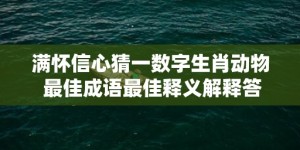 满怀信心猜一数字生肖动物 最佳成语最佳释义解释答