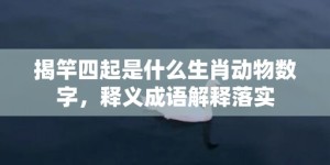 揭竿四起是什么生肖动物数字，释义成语解释落实