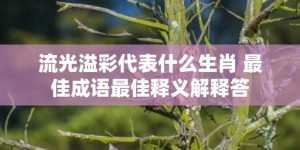 流光溢彩代表什么生肖 最佳成语最佳释义解释答