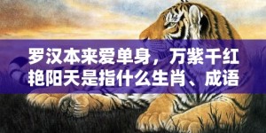 罗汉本来爱单身，万紫千红艳阳天是指什么生肖、成语释义解释落实