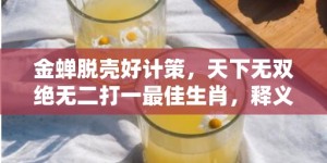 金蝉脱壳好计策，天下无双绝无二打一最佳生肖，释义成语解释落实