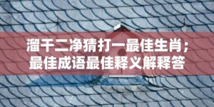 溜干二净猜打一最佳生肖；最佳成语最佳释义解释答