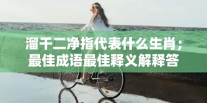 溜干二净指代表什么生肖；最佳成语最佳释义解释答