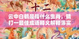 云中白鹤是指什么生肖，猜打一最佳成语释义解释落实