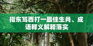 指东骂西打一最佳生肖、成语释义解释落实