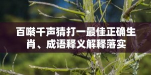 百啭千声猜打一最佳正确生肖、成语释义解释落实