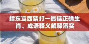 指东骂西猜打一最佳正确生肖、成语释义解释落实