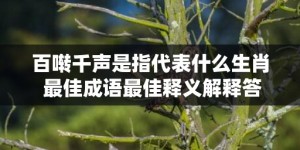 百啭千声是指代表什么生肖 最佳成语最佳释义解释答