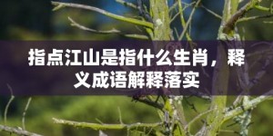 指点江山是指什么生肖，释义成语解释落实