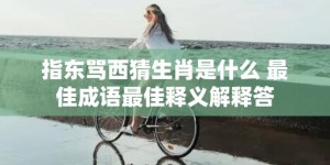 指东骂西猜生肖是什么 最佳成语最佳释义解释答