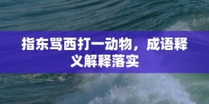 指东骂西打一动物，成语释义解释落实