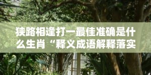 狭路相逢打一最佳准确是什么生肖“释义成语解释落实”