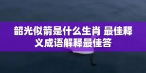 韶光似箭是什么生肖 最佳释义成语解释最佳答