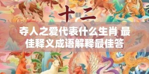 夺人之爱代表什么生肖 最佳释义成语解释最佳答