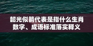 韶光似箭代表是指什么生肖数字、成语标准落实释义