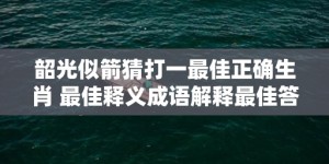 韶光似箭猜打一最佳正确生肖 最佳释义成语解释最佳答