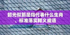 韶光似箭是指代表什么生肖、标准落实释义成语