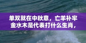 单双就在中秋意，亡羊补牢金水木是代表打什么生肖，猜打一最佳标准成语落实释义