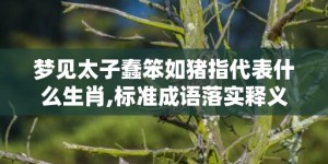 梦见太子蠢笨如猪指代表什么生肖,标准成语落实释义