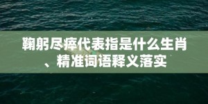 鞠躬尽瘁代表指是什么生肖、精准词语释义落实