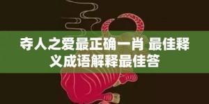 夺人之爱最正确一肖 最佳释义成语解释最佳答