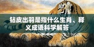 钻皮出羽是指什么生肖、释义成语科学解答