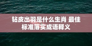 钻皮出羽是什么生肖 最佳标准落实成语释义