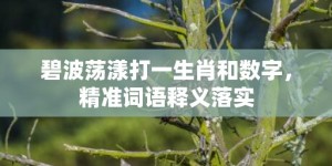 碧波荡漾打一生肖和数字，精准词语释义落实