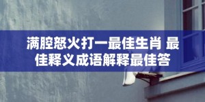 满腔怒火打一最佳生肖 最佳释义成语解释最佳答