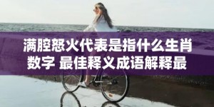 满腔怒火代表是指什么生肖数字 最佳释义成语解释最佳答