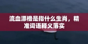 流血漂橹是指什么生肖，精准词语释义落实