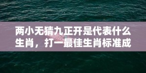 两小无猜九正开是代表什么生肖，打一最佳生肖标准成语落实释义