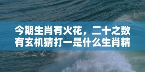 今期生肖有火花，二十之数有玄机猜打一是什么生肖精准词语释义落实