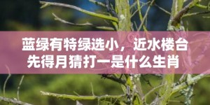 蓝绿有特绿选小，近水楼台先得月猜打一是什么生肖 最佳释义成语解释最佳答