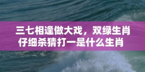 三七相逢做大戏，双绿生肖仔细杀猜打一是什么生肖 最佳释义成语解释最佳答