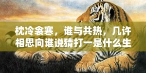 枕冷衾寒，谁与共热，几许相思向谁说猜打一是什么生肖精准词语释义落实