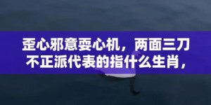 歪心邪意耍心机，两面三刀不正派代表的指什么生肖，猜一准确生肖成语落实释义