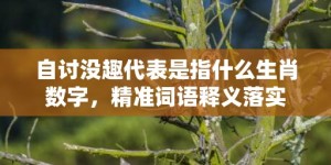 自讨没趣代表是指什么生肖数字，精准词语释义落实