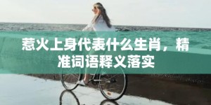 惹火上身代表什么生肖，精准词语释义落实