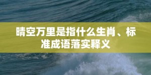 晴空万里是指什么生肖、标准成语落实释义