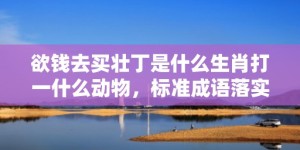 欲钱去买壮丁是什么生肖打一什么动物，标准成语落实释义