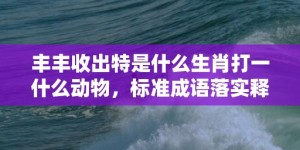 丰丰收出特是什么生肖打一什么动物，标准成语落实释义