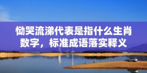 恸哭流涕代表是指什么生肖数字，标准成语落实释义